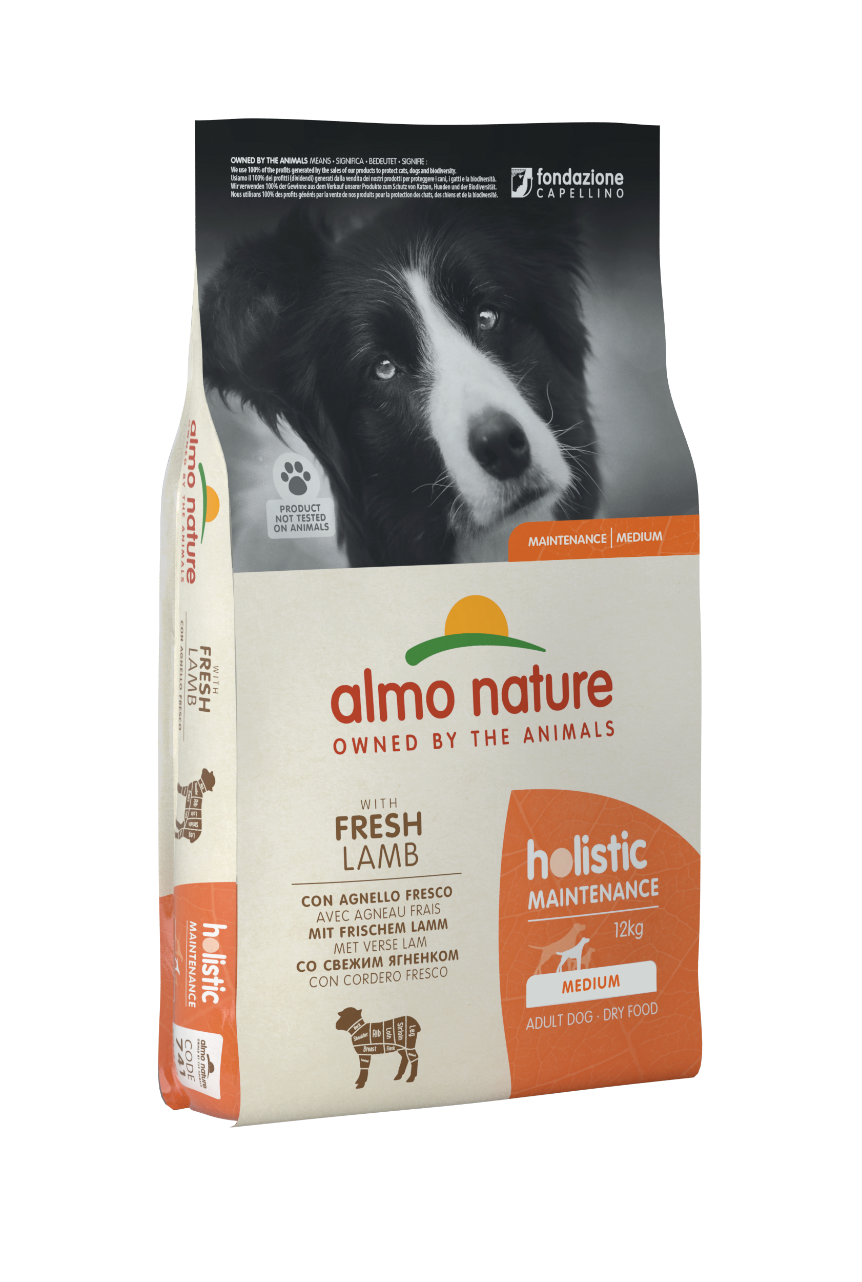 картинка Almo Nature Holistic Dog M для дорослих собак середніх порід зі свіжим ягням