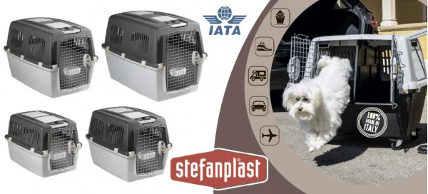 Як забезпечити безпечне перевезення улюбленця