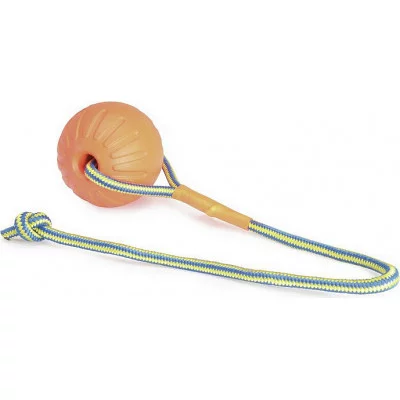 Іграшка CАMON 