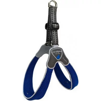 Шлея CINQUETORRI блакитний