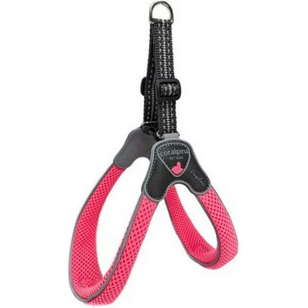 Шлея CINQUETORRI рожевий неон