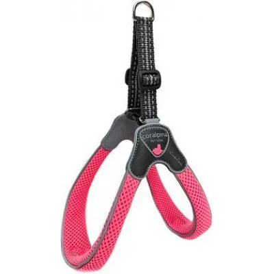 Шлея CINQUETORRI рожевий неон