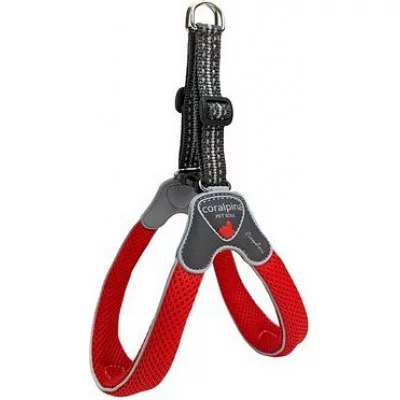 Шлея CINQUETORRI червоний