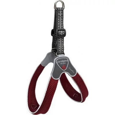 Шлея CINQUETORRI червоне вино