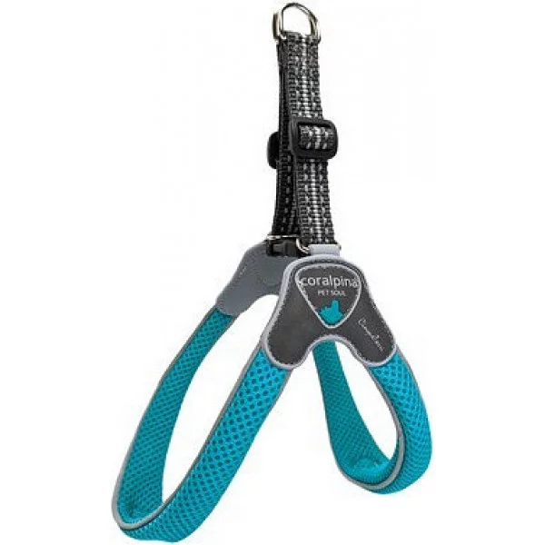 Шлея CINQUETORRI бірюзовий