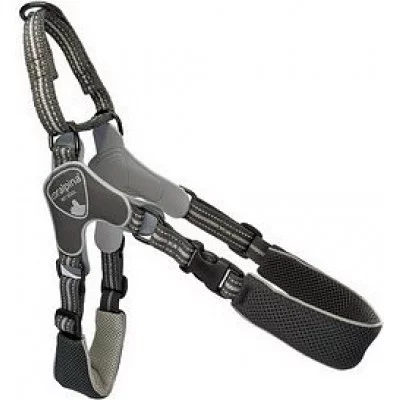 Шлея FIAMES чорний