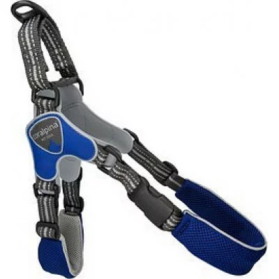 Шлея FIAMES блакитний