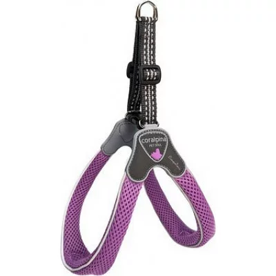 Шлея CINQUETORRI бузковий