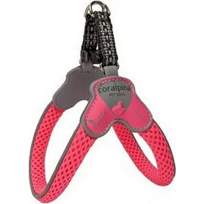 Шлея MINI рожевий неон