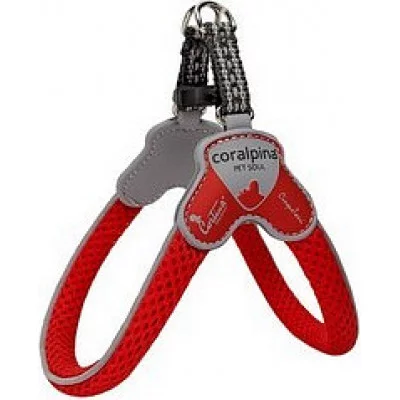 Шлея MINI червоний