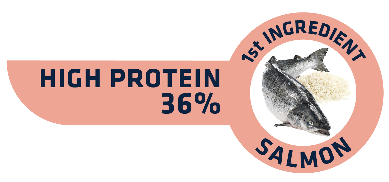 картинка Advance Cat Salmon Sensitive для котів з чутливим травленням з лососем