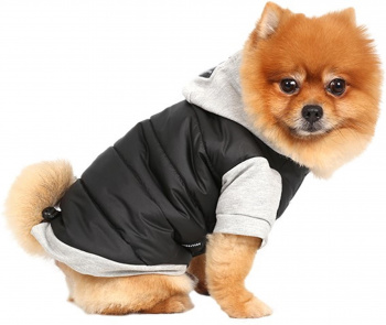 картинка Куртка сіра з чорним