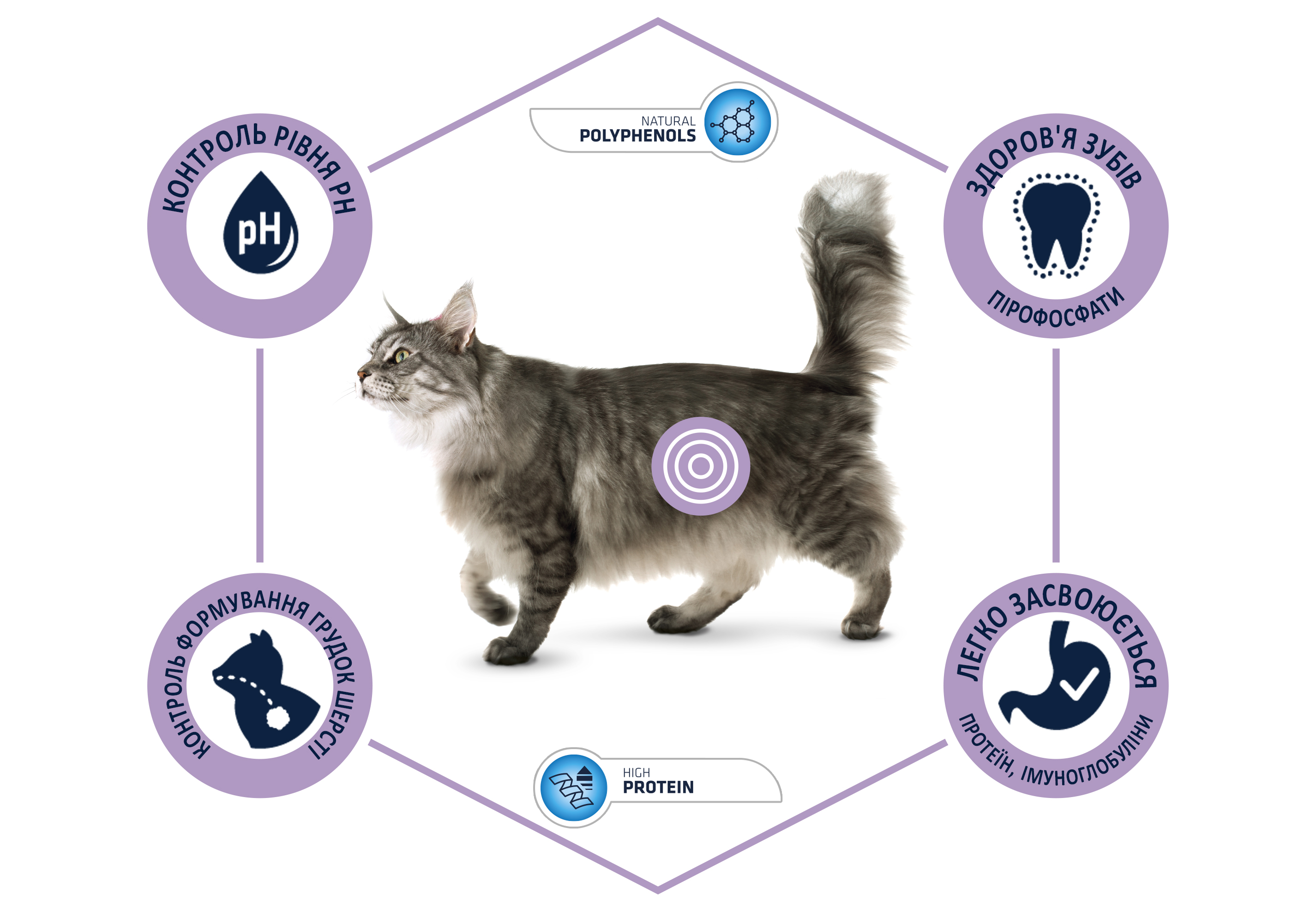 картинка Advance Cat Hairball для виведення шерсті у дорослих котів з індичкою