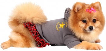 картинка Худі сіре з червоною спідницею