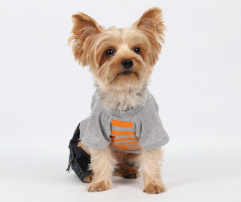 картинка Костюм "Doggy Dolly" помаранчева смужка