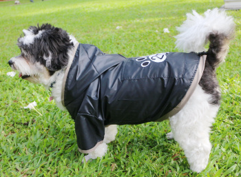 картинка Дощовик чорний