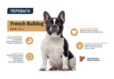 картинка Advance Dog French Bulldog для Французьких бульдогів з качкою