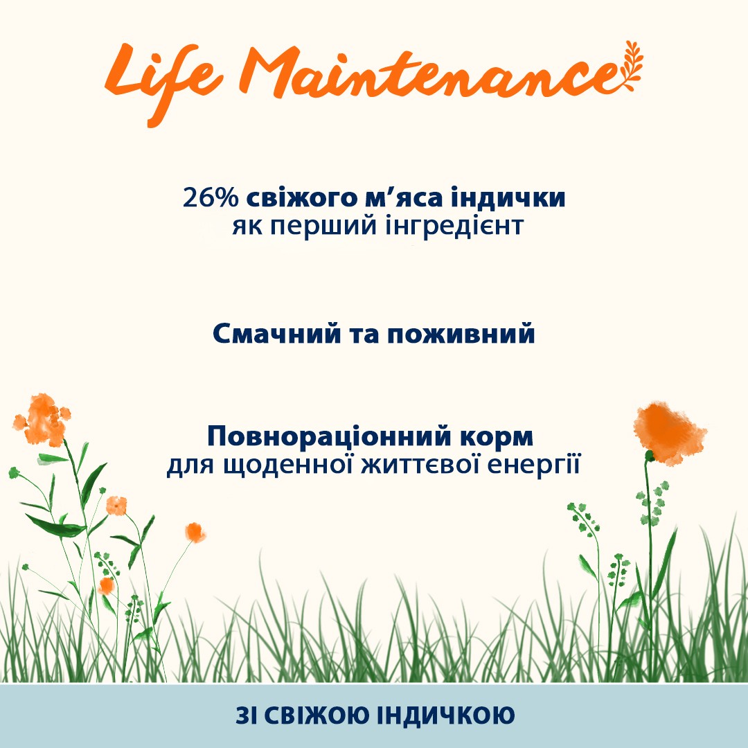 картинка Almo Nature Holistic Cat для дорослих котів зі свіжою індичкою