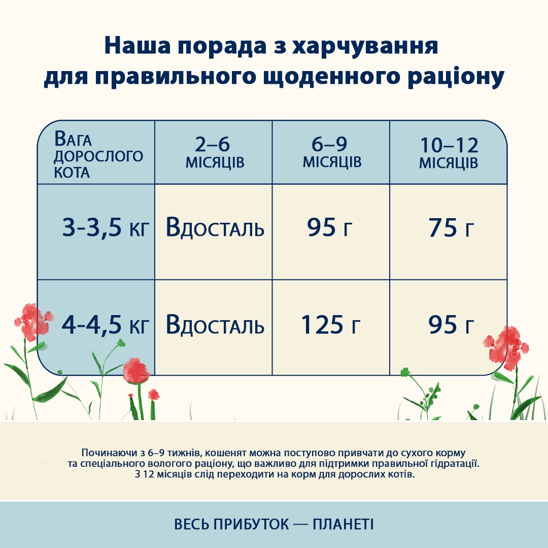 картинка Almo Nature Holistic Cat для кошенят зі свіжою куркою